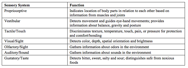 sensory table 